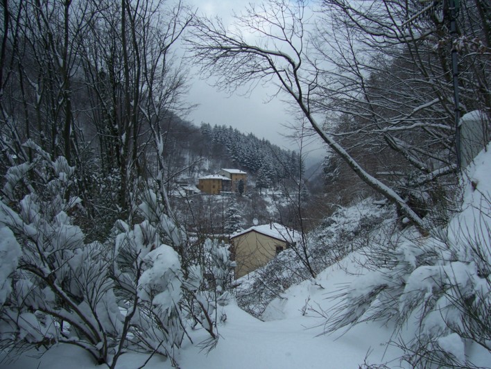  Image name: molino 2008 303.jpg 
 width: 708 pixel 
 height: 532 pixel 
 Size: 153574 bytes 
 Click to enlarge 